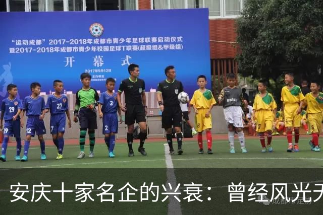 安庆十家名企的兴衰：曾经风光无限，如今只剩叹息