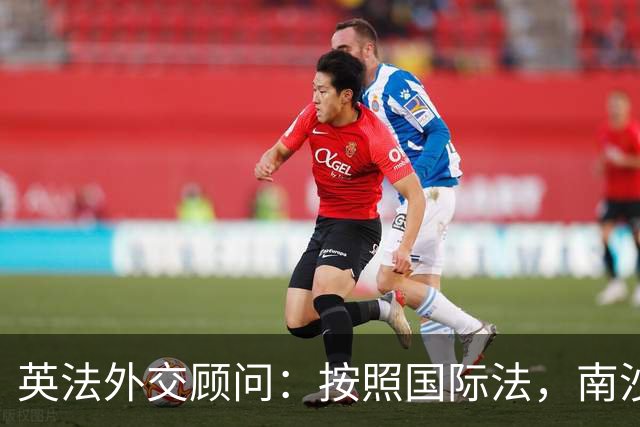 英法外交顾问：按照国际法，南沙与西沙属中国，菲律宾无任何主权