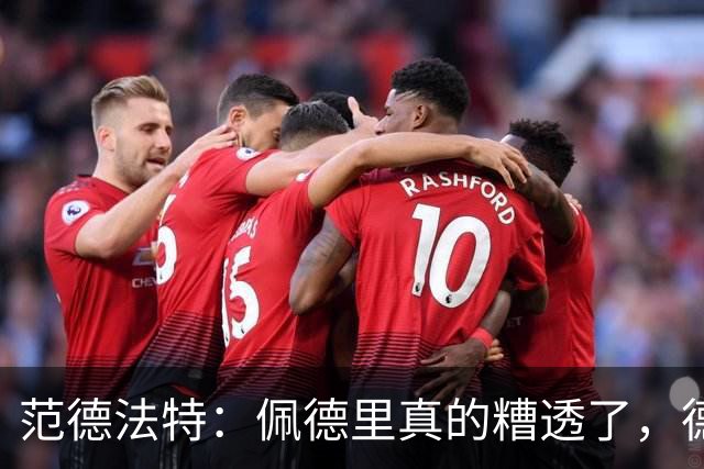 范德法特：佩德里真的糟透了，德容没有必要害怕竞争
