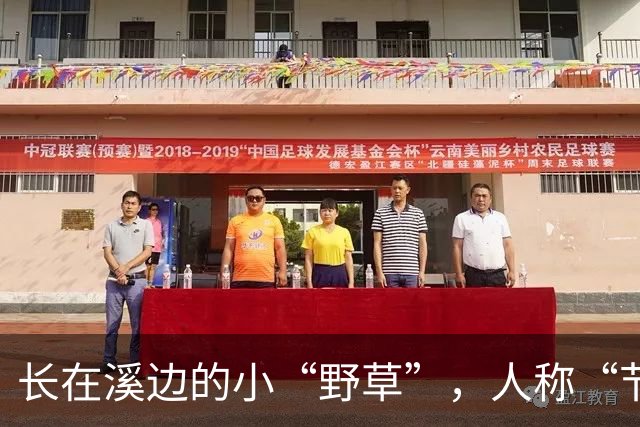 长在溪边的小“野草”，人称“节节草”，农民拔了扔，现20元一盆